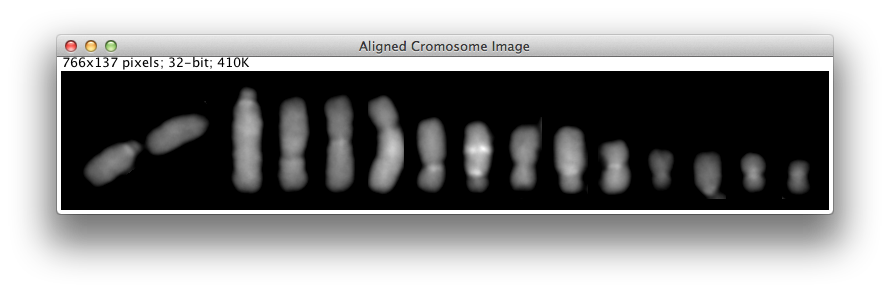 Sample ChromosomeJ output.