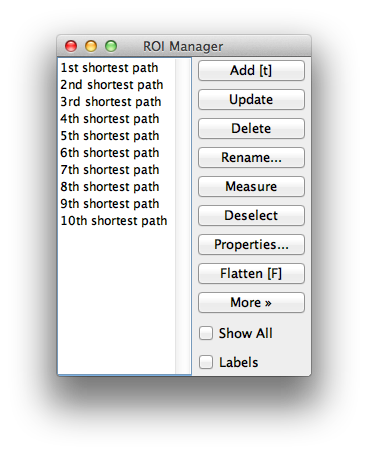 Collection of shortest paths in ImageJ's ROI Manager.