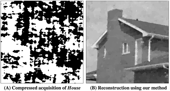 (A) Acquisition of House obtained through our model along with (B) the corresponding reconstruction.