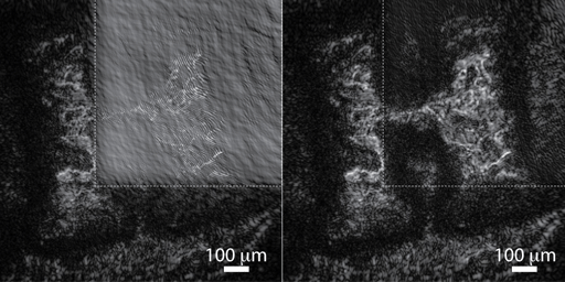 Reconstruction in amplitude of a hologram recorded on the reflection on a coin. (Left) Standard reconstruction, where the constant zero-order disrupts the image, and (Right) Nonlinear reconstruction, where the zero-order is intrinsically suppressed.