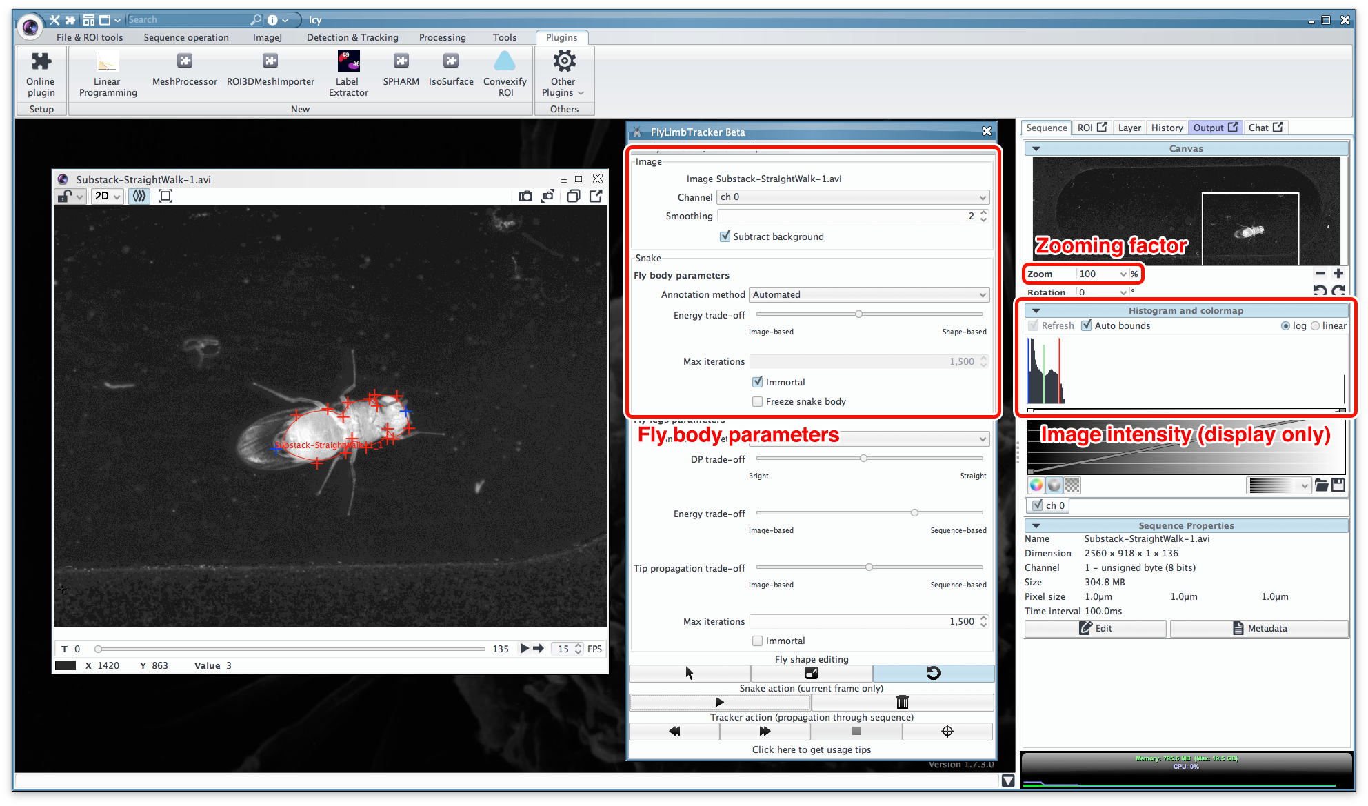 Parameters for fly body segmentation.