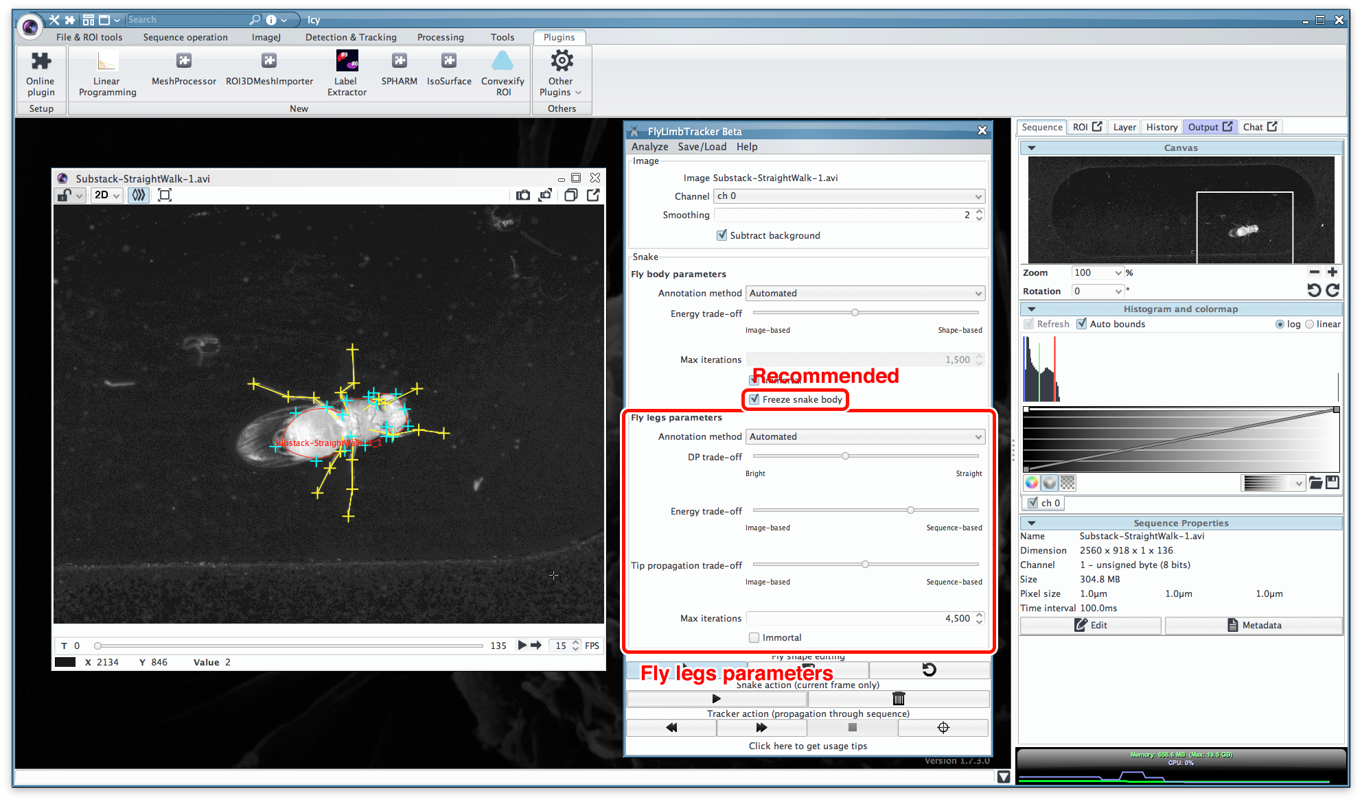 Parameters for fly leg segmentation.