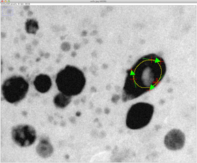 Exponential Hermite Snake before convergence.