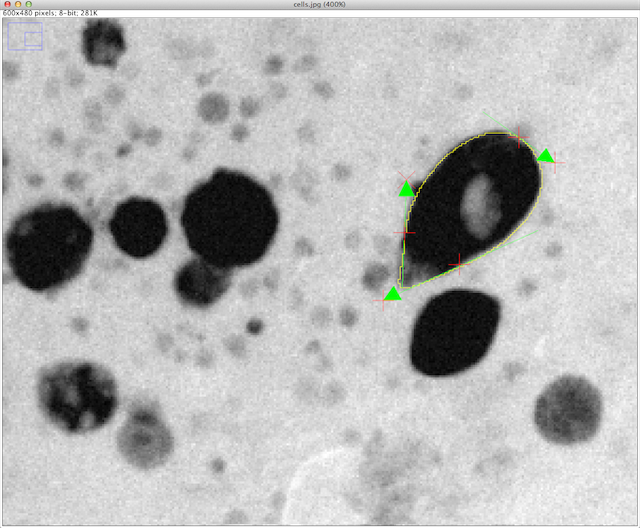 Exponential Hermite Snake after convergence.