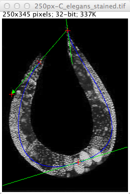 Open Hermite Snake after convergence.